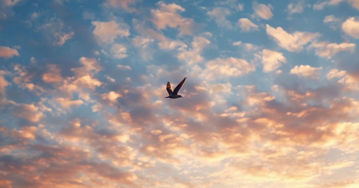 280-best-flight-captions-for-instagram-in-2025