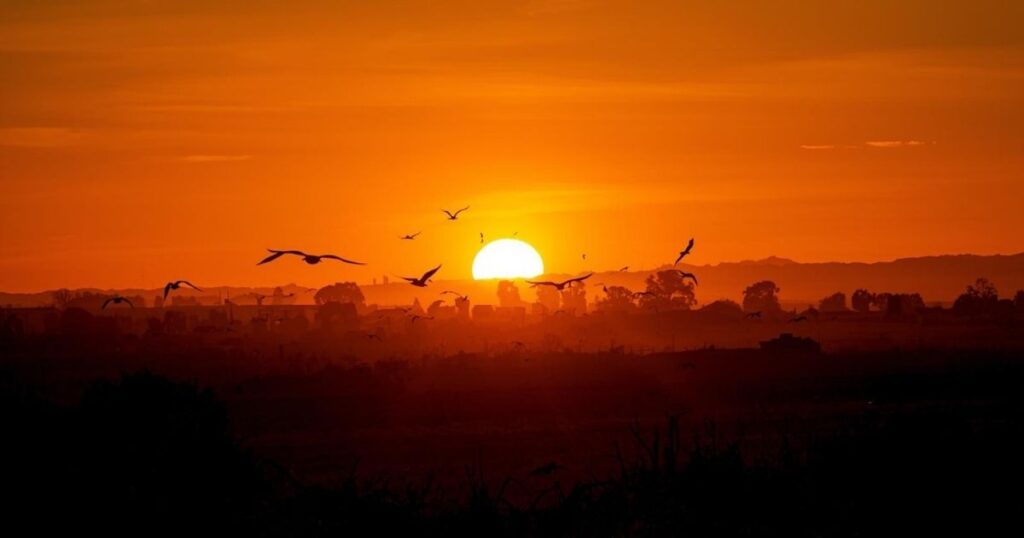 sunrise-quotes-and-captions-from-famous-personalities