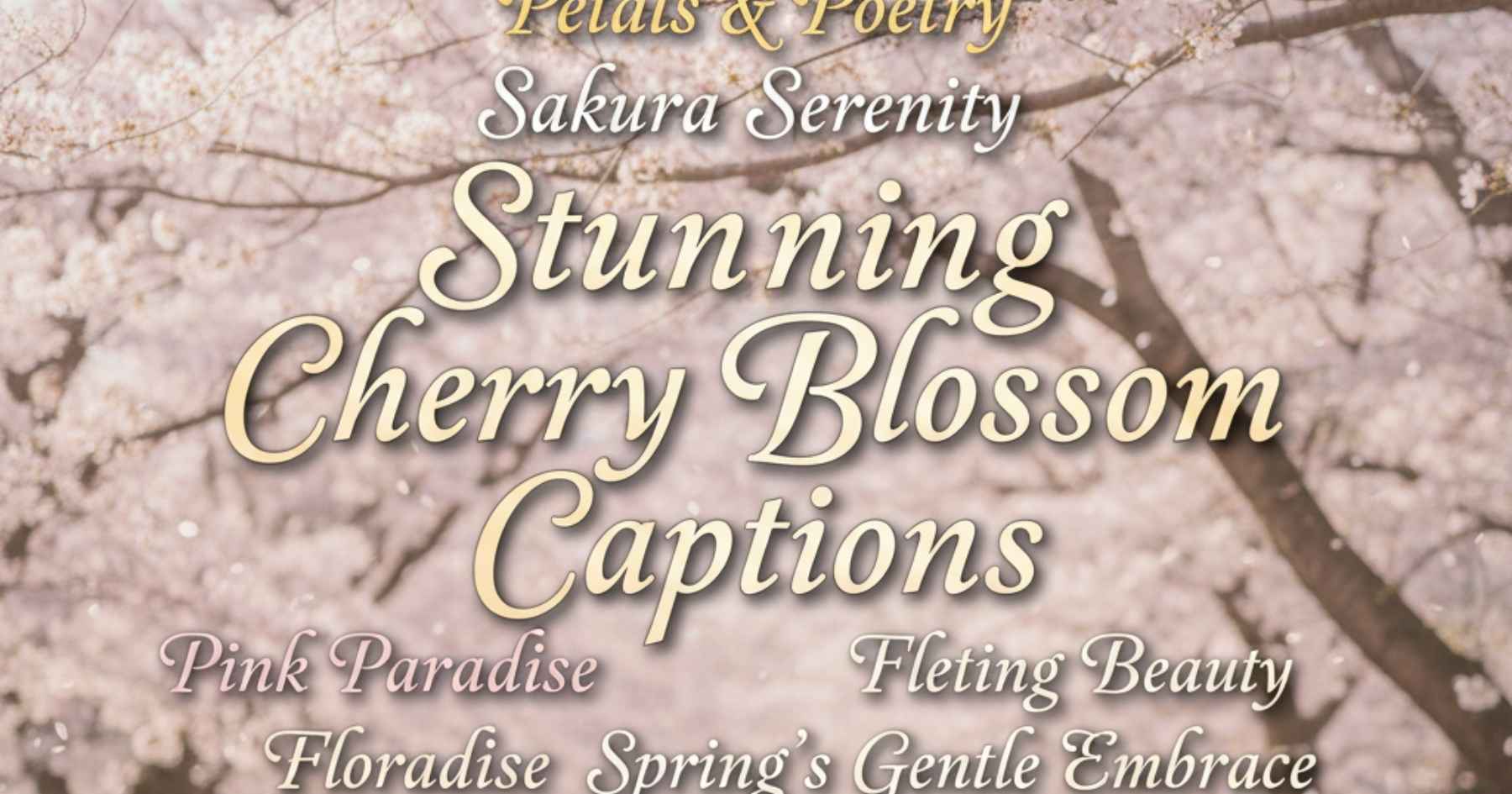 400-stunning-cherry-blossom-captions-for-instagram