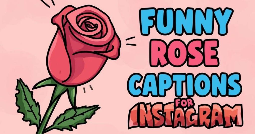 funny-rose-captions-for-instagram
